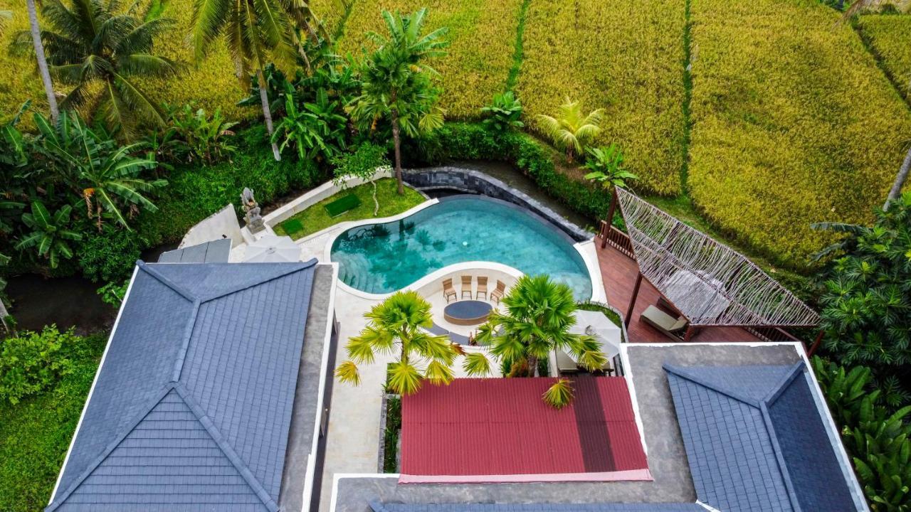 Coconut Grove Villa By Betterplace Ubud Kültér fotó