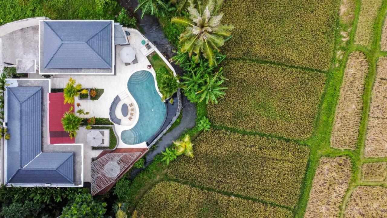 Coconut Grove Villa By Betterplace Ubud Kültér fotó