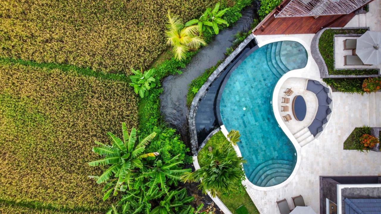 Coconut Grove Villa By Betterplace Ubud Kültér fotó